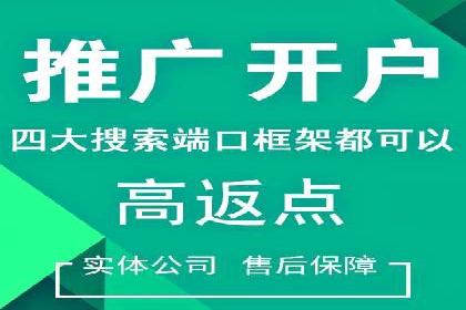 行业新秀的SEM优化之路：从零到一的突破